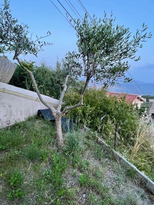 Superbe Terrasse Avec Vue Panoramique Sur La Mer Marselha Exterior foto